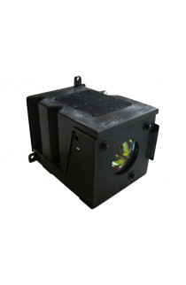 BENQ 60.J2104.CG1 ECL-4199-PG CARTUCCIA LAMPADA COMPATIBILE CON BULBO ORIGINALE CON SUPPORTO