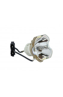 DUKANE 456-8943 ECL-4410-BO/U LAMPADA USHIO SENZA SUPPORTO (SOLO BULBO)