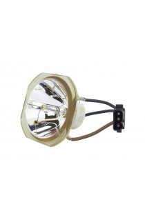 EPSON ELPLP45, V13H010L45 ECL-4563-BO/U LAMPADA USHIO SENZA SUPPORTO (SOLO BULBO)