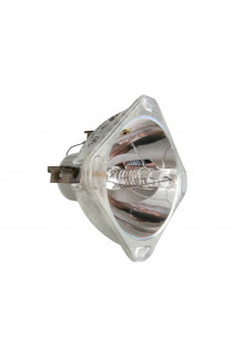 FUJITSU S26361-F2604-V2, 077A408 ECL-4566-BO/P LAMPADA PHILIPS SENZA SUPPORTO (SOLO BULBO)