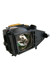 IBM 33L3456 ECL-4669-OM CARTUCCIA LAMPADA ORIGINALE CON SUPPORTO