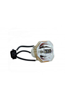 NEC LT60LP, LT60LPK, 50023919 ECL-4920-BO/U LAMPADA USHIO SENZA SUPPORTO (SOLO BULBO)