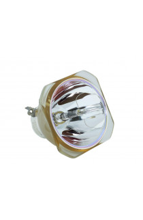 NEC NP21LP, 60003224 ECL-4957-BO/U LAMPADA USHIO SENZA SUPPORTO (SOLO BULBO)