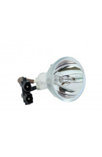 OPTOMA SP.85R01G001, SP.85R01GC01, BL-FP230C ECL-4984-BO/X LAMPADA PHOENIX SENZA SUPPORTO (SOLO BULBO)