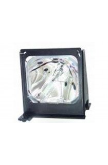 OPTOMA SP.81101.001, BL-FU120A ECL-5022-PG CARTUCCIA LAMPADA COMPATIBILE CON BULBO ORIGINALE CON SUPPORTO