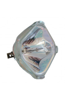 POLAROID 109823, 499B022-10 ECL-5145-BO/O LAMPADA OSRAM SENZA SUPPORTO (SOLO BULBO)