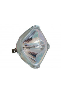 POLAROID 109823, 499B022-10 ECL-5145-BO/P LAMPADA PHILIPS SENZA SUPPORTO (SOLO BULBO)
