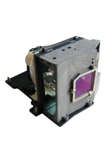 VIEWSONIC RLC-002 ECL-5567-PG CARTUCCIA LAMPADA COMPATIBILE CON BULBO ORIGINALE CON SUPPORTO