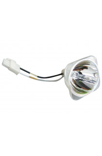 BENQ 5J.J5205.001 ECL-5650-BO/X LAMPADA PHOENIX SENZA SUPPORTO (SOLO BULBO)