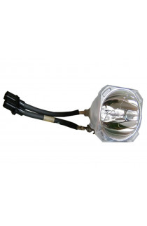 DREAMVISION LAMPDRE ECL-5859-BO/X LAMPADA PHOENIX SENZA SUPPORTO (SOLO BULBO)