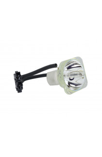 NOBO SP.80Y01.001 ECL-5867-CB LAMPADA COMPATIBILE SENZA SUPPORTO (SOLO BULBO)