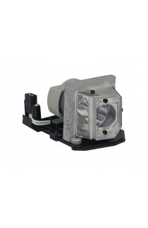 OPTOMA SP.8FE01GC01 ECL-5874-PG CARTUCCIA LAMPADA COMPATIBILE CON BULBO ORIGINALE CON SUPPORTO