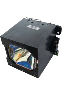 DUKANE 456-9060 ECL-5895-PG CARTUCCIA LAMPADA COMPATIBILE CON BULBO ORIGINALE CON SUPPORTO