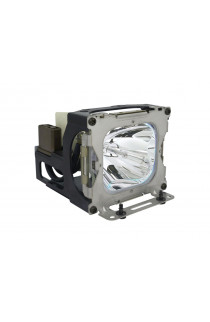 LIESEGANG ZU0256 04 4010 ECL-5972-PG CARTUCCIA LAMPADA COMPATIBILE CON BULBO ORIGINALE CON SUPPORTO