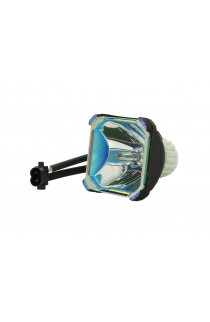 SAVILLE AV LAMP#2019 ECL-6019-BO/X LAMPADA PHOENIX SENZA SUPPORTO (SOLO BULBO)