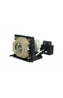 SCOTT LAMP#2042 ECL-6042-PG CARTUCCIA LAMPADA COMPATIBILE CON BULBO ORIGINALE CON SUPPORTO