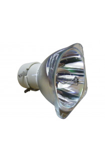 BENQ 5J.J6L05.001 ECL-6547-BO/P LAMPADA PHILIPS SENZA SUPPORTO (SOLO BULBO)