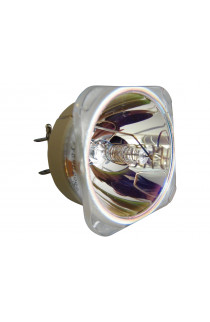 VIEWSONIC RLC-066 ECL-65767-BO/P LAMPADA PHILIPS SENZA SUPPORTO (SOLO BULBO)