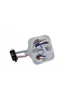 TAXAN KG-LPS2230 ECL-65821-BO/X LAMPADA PHOENIX SENZA SUPPORTO (SOLO BULBO)