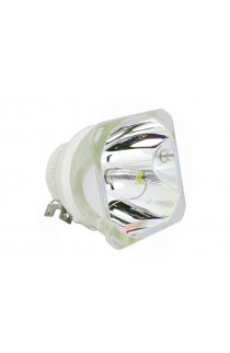 NEC NP23LP ECL-7004-BO/U LAMPADA USHIO SENZA SUPPORTO (SOLO BULBO)