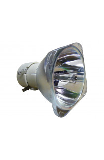 Benq 5J.J8J05.001 ECL-7092-BO/P LAMPADA PHILIPS SENZA SUPPORTO (SOLO BULBO)