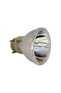 Viewsonic RLC-078 ECL-7159-CB LAMPADA COMPATIBILE SENZA SUPPORTO (SOLO BULBO)