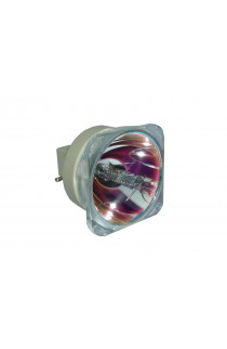 BenQ 5J.J8C05.002 ECL-7226-BO/P LAMPADA PHILIPS SENZA SUPPORTO (SOLO BULBO)