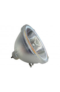CLARITY 151-1063 ECL-7388-BO/P LAMPADA PHILIPS SENZA SUPPORTO (SOLO BULBO)