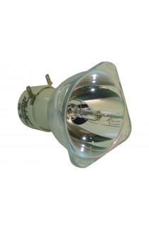 BENQ 5J.JFH05.001 ECL-8022-BO/P LAMPADA PHILIPS SENZA SUPPORTO (SOLO BULBO)