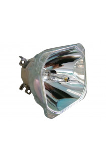 VIVIBRIGHT PRX800UST-LAMP ECL-8130-BO/U LAMPADA USHIO SENZA SUPPORTO (SOLO BULBO)
