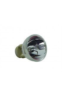 OPTOMA SP.78B01GC01 BL-FP220B ECL-8147-BO/O LAMPADA OSRAM SENZA SUPPORTO (SOLO BULBO)