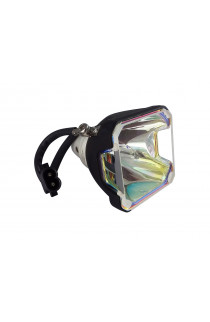   ECL-1632-SHP LAMPADA PHOENIX SENZA SUPPORTO (SOLO BULBO)