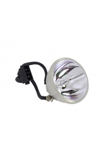   ECL-1637-SHP LAMPADA PHOENIX SENZA SUPPORTO (SOLO BULBO)