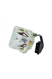   ECL-1650-SHP LAMPADA PHOENIX SENZA SUPPORTO (SOLO BULBO)
