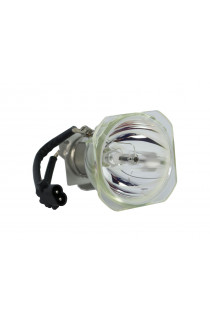   ECL-1653-SHP LAMPADA PHOENIX SENZA SUPPORTO (SOLO BULBO)