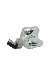   ECL-1662-SHP LAMPADA PHOENIX SENZA SUPPORTO (SOLO BULBO)