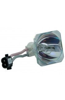   ECL-1665-SHP LAMPADA PHOENIX SENZA SUPPORTO (SOLO BULBO)