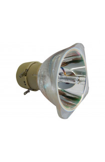   ECL-2013-UHP LAMPADA PHILIPS SENZA SUPPORTO (SOLO BULBO)