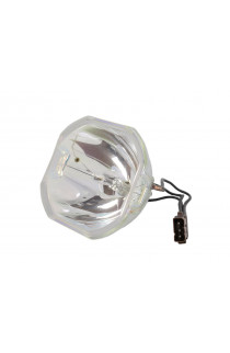   ECL-32019-NSH LAMPADA USHIO SENZA SUPPORTO (SOLO BULBO)