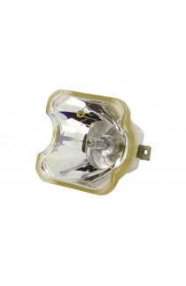   ECL-64866-NSH LAMPADA USHIO SENZA SUPPORTO (SOLO BULBO)
