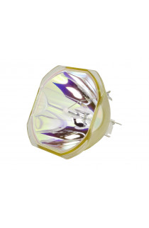   ECL-64913-SHP LAMPADA PHOENIX SENZA SUPPORTO (SOLO BULBO)