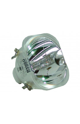 ACCO 9803687 ECL-4050-BO/O LAMPADA OSRAM SENZA SUPPORTO (SOLO BULBO)