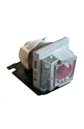 ACER EC.J9900.001 ECL-4056-PG CARTUCCIA LAMPADA COMPATIBILE CON BULBO ORIGINALE CON SUPPORTO