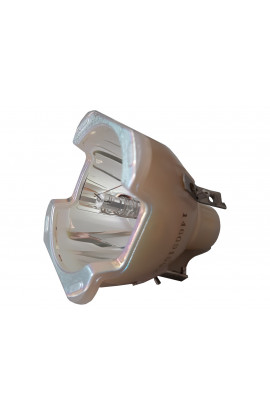 ACER EC.K2500.001 ECL-4067-BO/P LAMPADA PHILIPS SENZA SUPPORTO (SOLO BULBO)