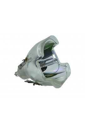 ACER EC.J6400.001 ECL-4069-CB LAMPADA COMPATIBILE SENZA SUPPORTO (SOLO BULBO)