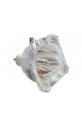 BLUESKY 265919 ECL-4213-BO/P LAMPADA PHILIPS SENZA SUPPORTO (SOLO BULBO)