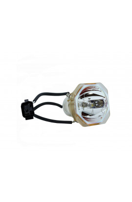DUKANE 456-8760 ECL-4399-BO/U LAMPADA USHIO SENZA SUPPORTO (SOLO BULBO)