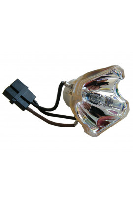 DUKANE 456-8777 ECL-4401-BO/U LAMPADA USHIO SENZA SUPPORTO (SOLO BULBO)