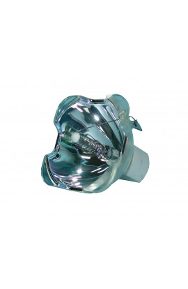 DUKANE 456-8915 ECL-4405-CB LAMPADA COMPATIBILE SENZA SUPPORTO (SOLO BULBO)