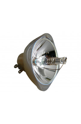 EPSON ELPLP48, V13H010L48 ECL-4505-BO/P LAMPADA PHILIPS SENZA SUPPORTO (SOLO BULBO)